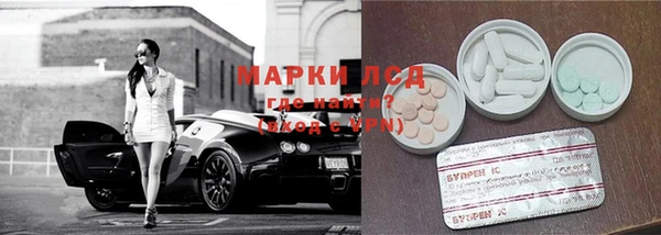 стаф Гусев