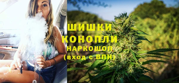 стаф Гусев