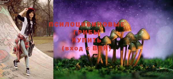 2c-b Гусь-Хрустальный